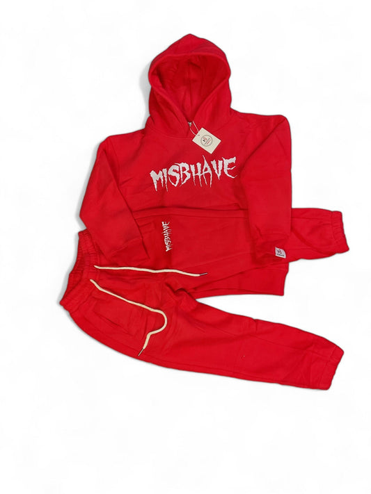 Mìsbhave sweatshirt/pants set..